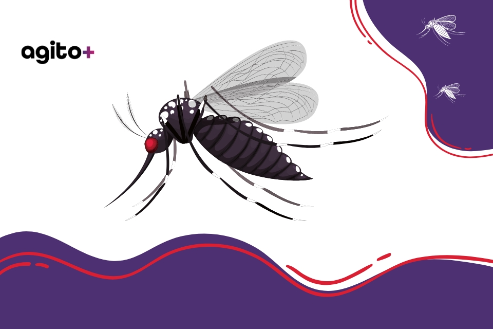 Prefeitura de Nova Lima divulga boletim epidemiológico e casos de Dengue ainda é alarmante. Imagem meramente ilustrativa.