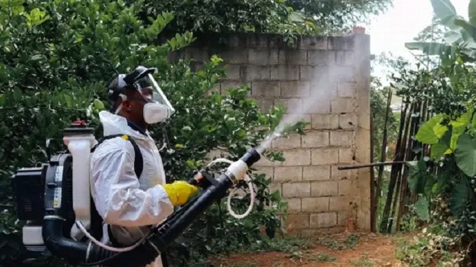 Dengue: Os casos chegam a 133.204 e 114 óbitos são investigados. Imagem ilustrativa.
