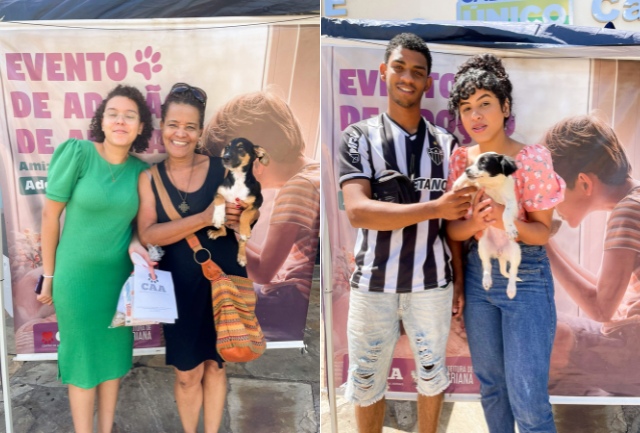 Para aqueles que perderam a oportunidade de adotar durante o evento, ainda há chances de encontrar um novo amigo peludo. Foto dos animais sendo adotados.