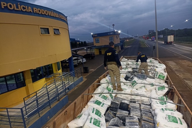 Diante dessa descoberta, o motorista, o veículo e a carga ilícita foram prontamente encaminhados para a Delegacia da Polícia Federal em Uberlândia. Foto da droga apreendida.