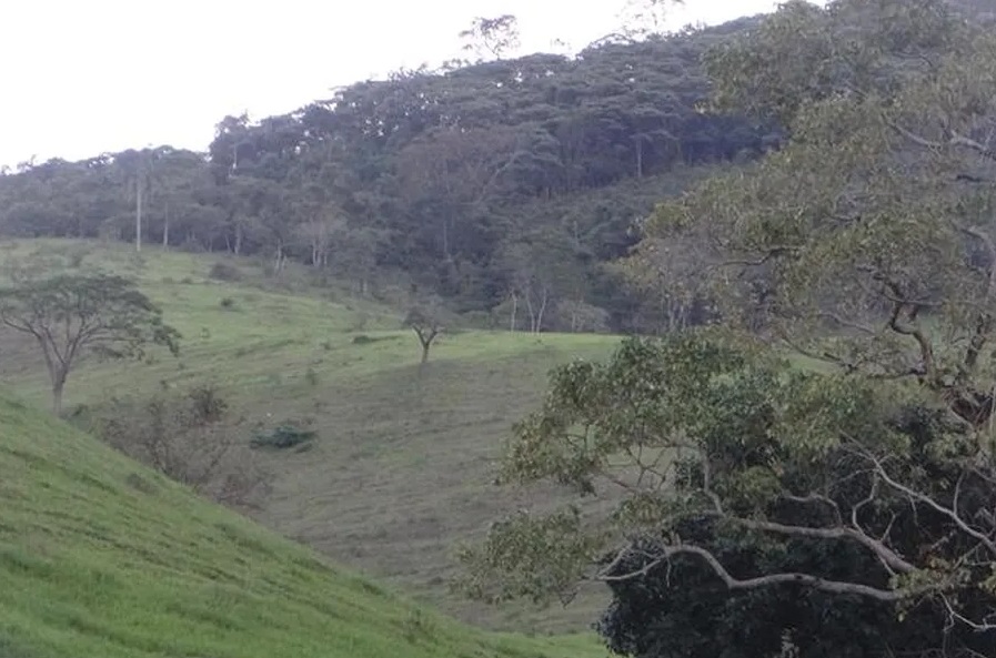 As autoridades agora buscam entender as causas que levaram a essa fatalidade no céu. Foto do local onde o homem morreu.