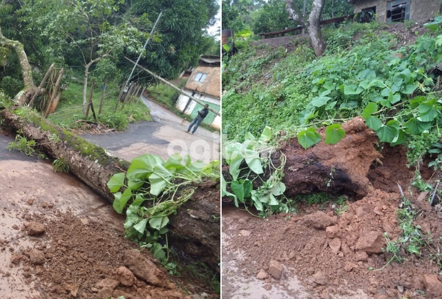 Moradores reclamam de danos na rede elétrica e na internet causados pelo incidente.