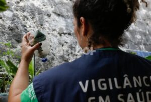 Dengue e Chikungunya: Minas Gerais declara emergência em saúde pública.