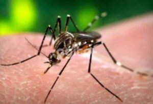 Secretário de Saúde anuncia medidas para combater a dengue, chikungunya e zika no estado.