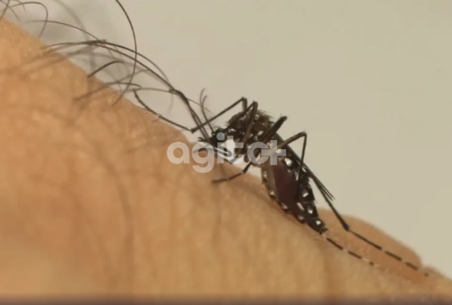 A cidade está em luto após falecimento de menina de apenas 3 anos.