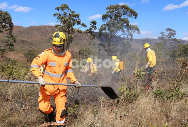 Oportunidade de Emprego Temporário com Foco no Combate a Incêndios.